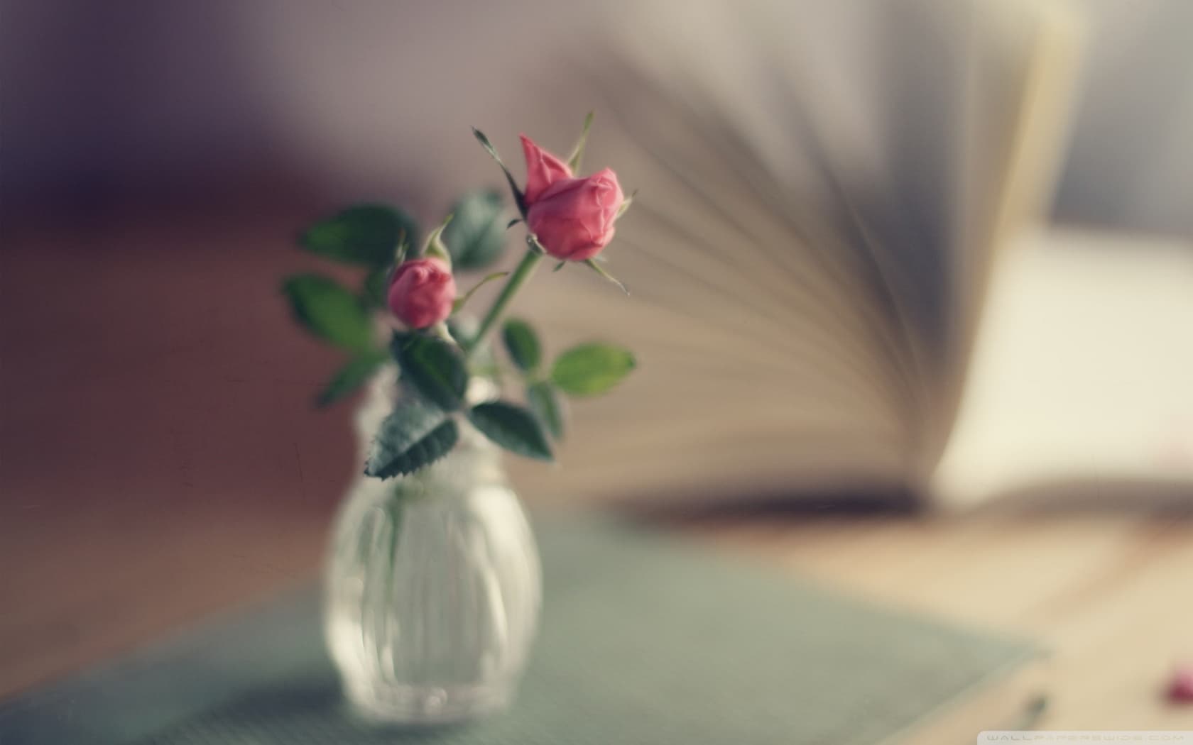 memory_2-wallpaper-1680x1050.jpg